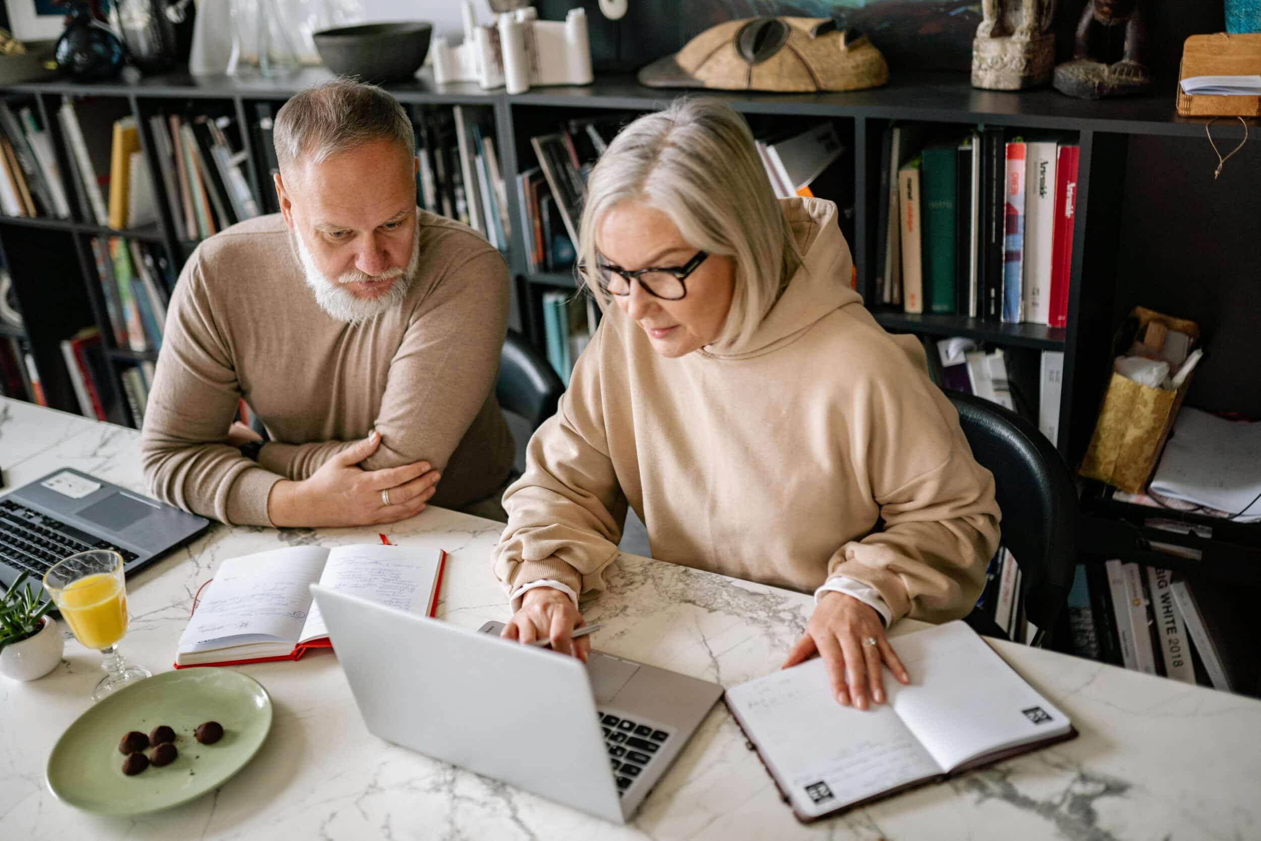 Work from Home Seniors