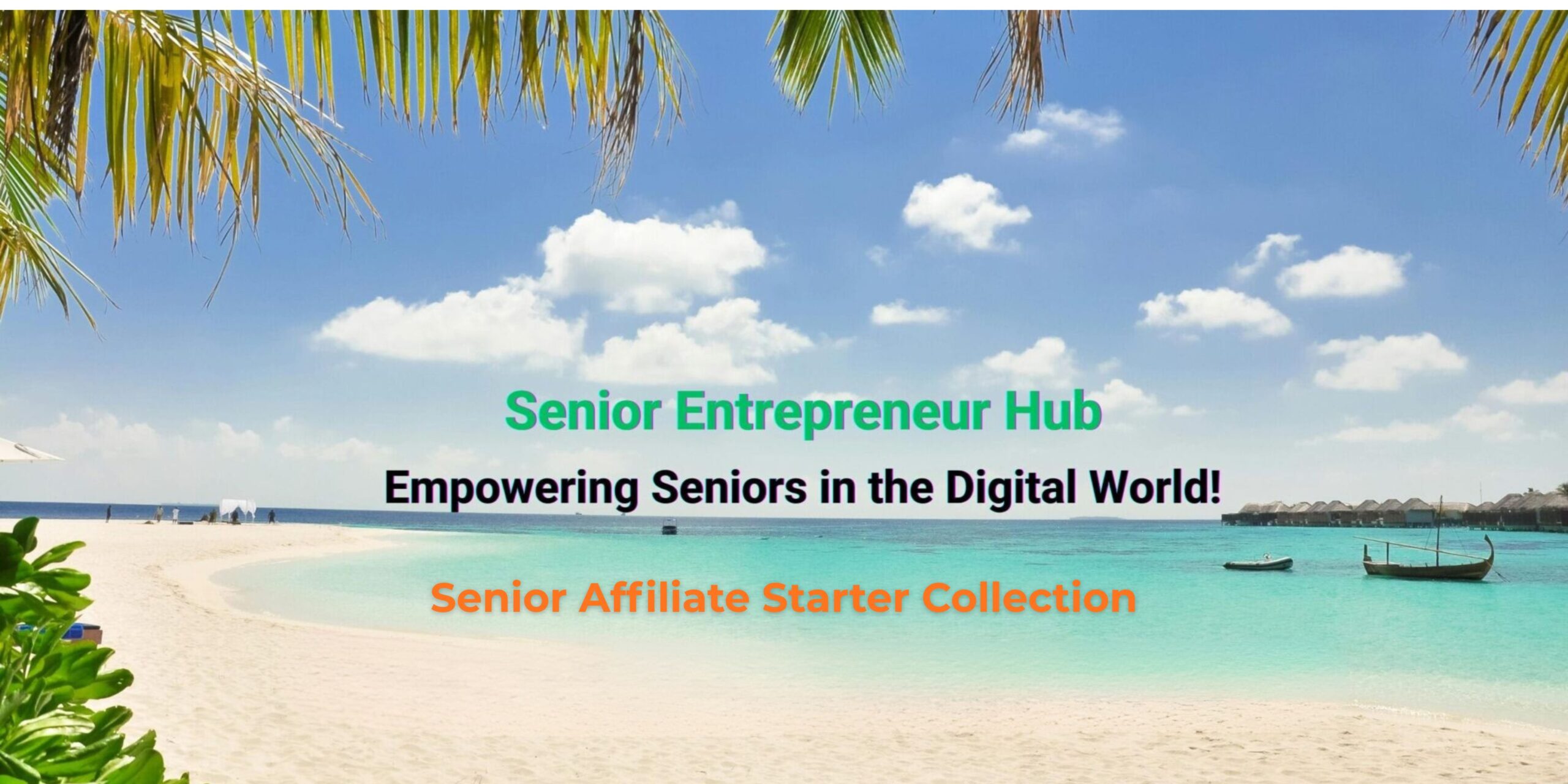 free online income for seniors